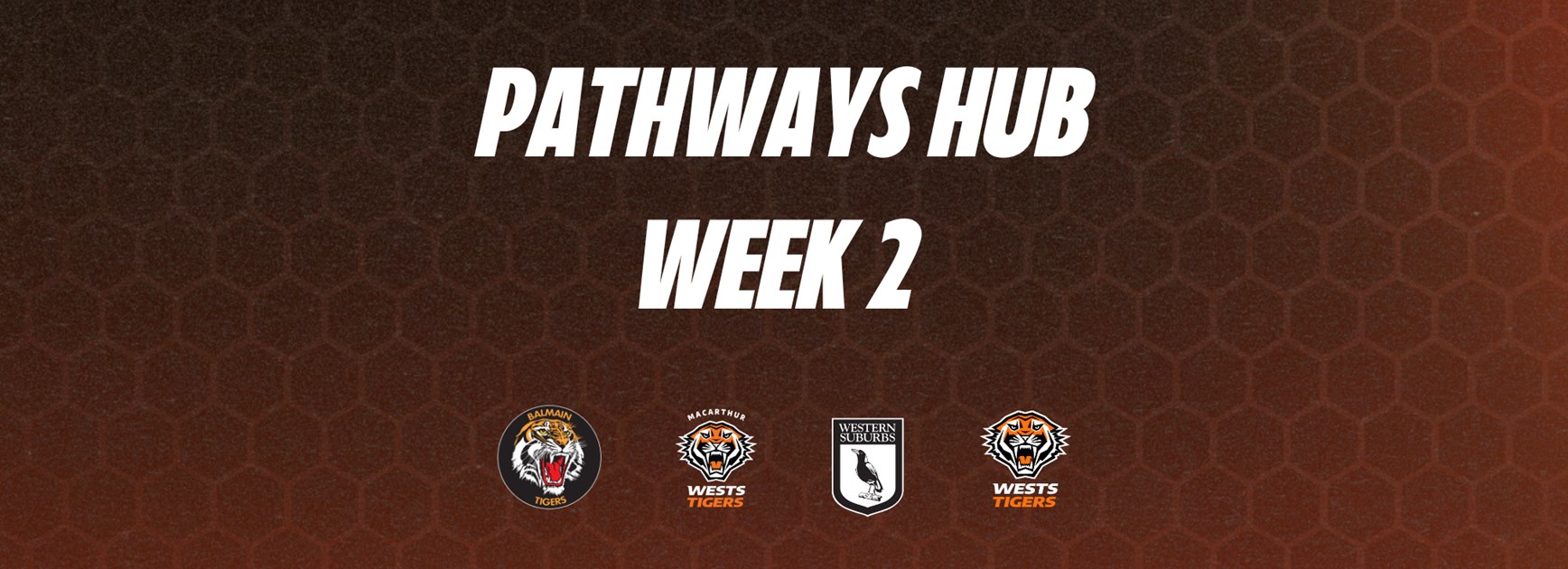 Pathways Hub - Week 2