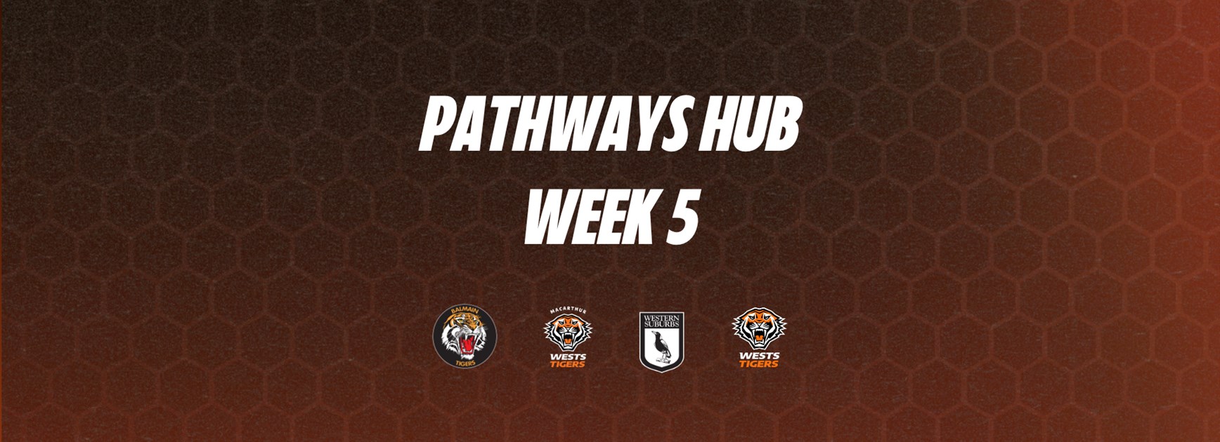 Pathways Hub - Week 5