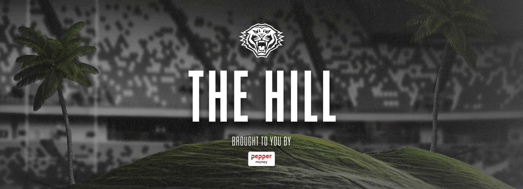 Introducing 'The Hill'