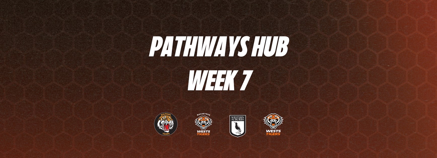 Pathways Hub: Week 7