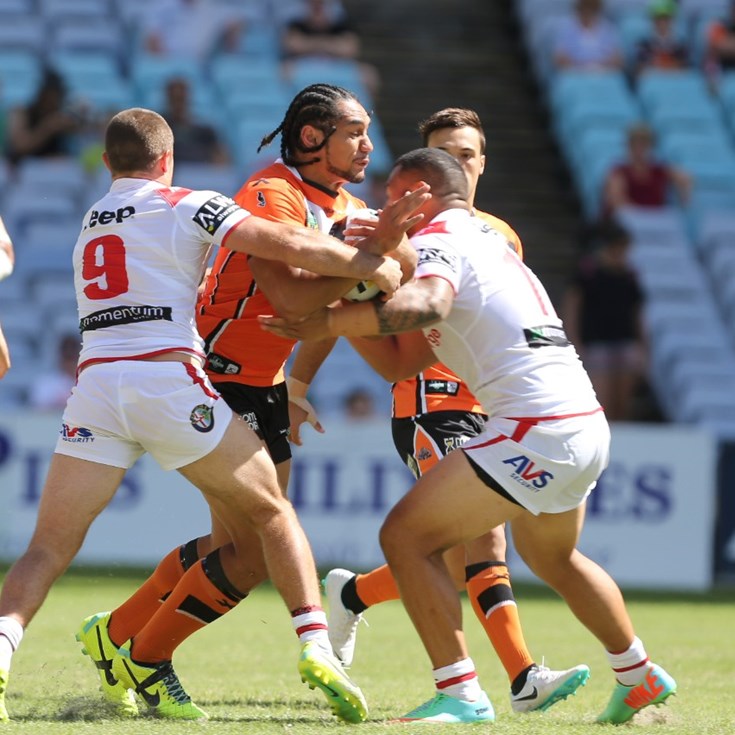 From the Sheds: Martin Taupau