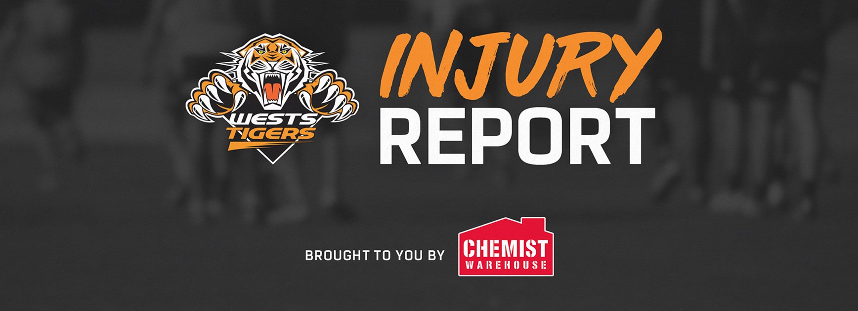 Chemist Warehouse Injury Report: Round 20