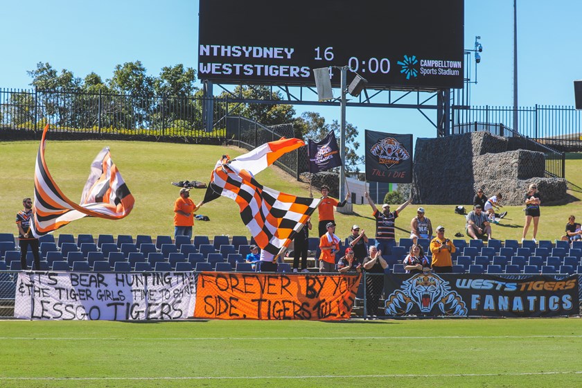 Wests Tigers Fanatics