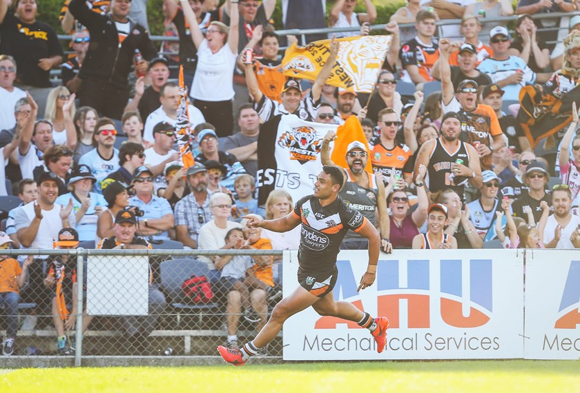 David Nofoaluma scores another try at Campbelltown Sports Stadium in 2016.