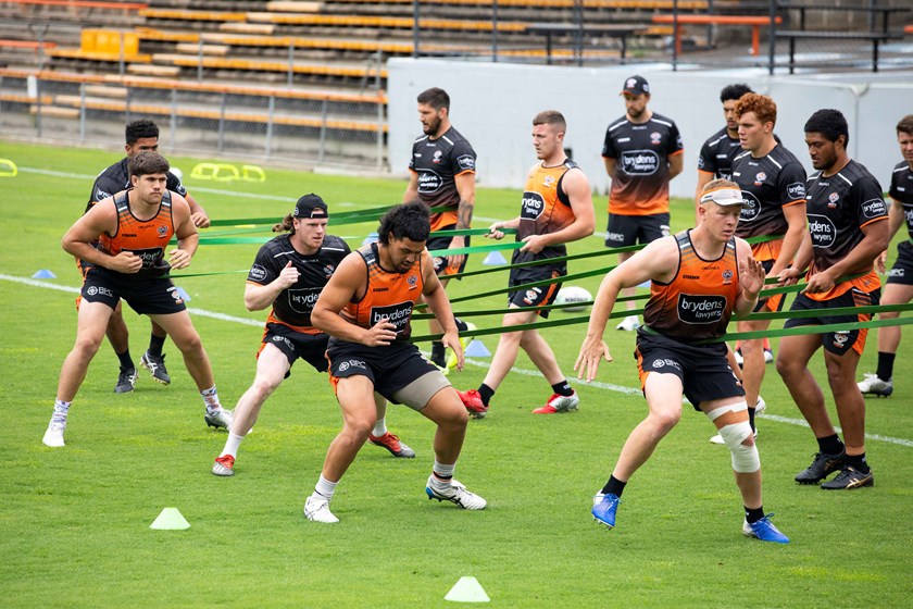 Wests tigers rugby league football club hi-res stock photography