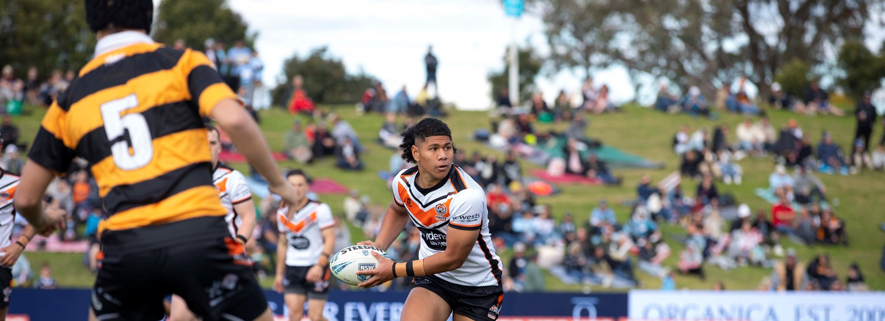 Cubs curtain-raiser in Tamworth