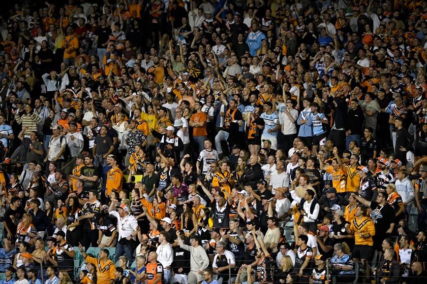 Wests Tigers fans celebrate Round 3 victory over the Sharks at Leichhardt Oval